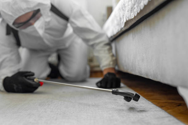 Professional Bed Bug Control technician working in Harlem, GA